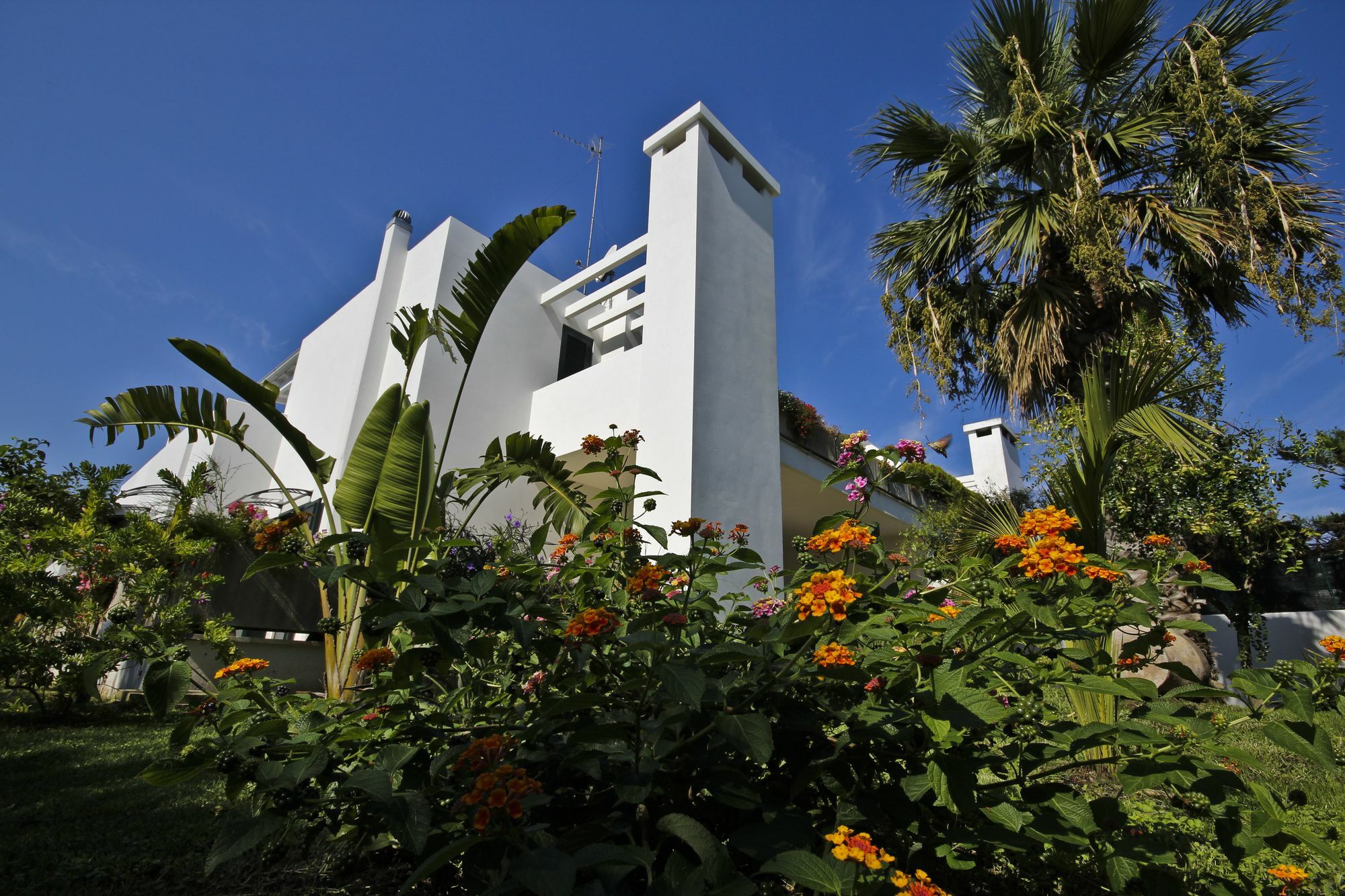 B&B Villa Genny A Pochi Passi Dal Mare San Cataldo  Exteriér fotografie